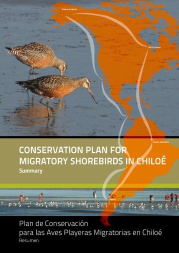 plan de conservación para las aves playeras migratorias en chiloé