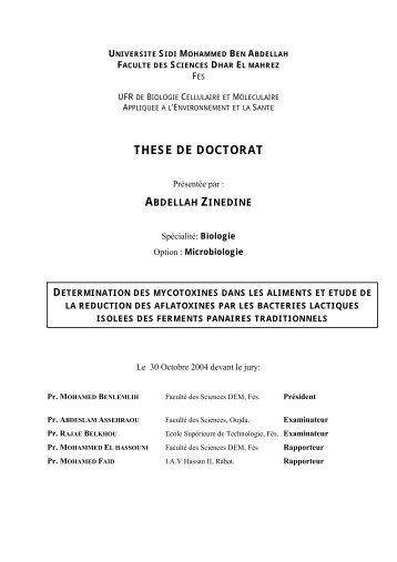 THESE DE DOCTORAT - Toubkal