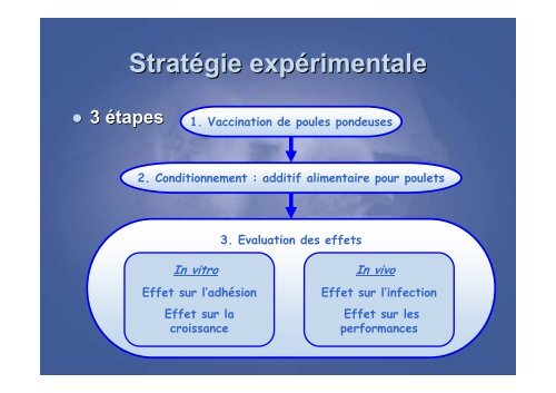 Immunisation passive du poulet de chair vis-Ã -vis des ... - FACW