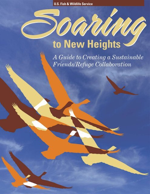 Soaring to new Heights
