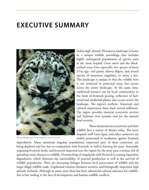 towards project snow leopard - Nature Conservation Foundation