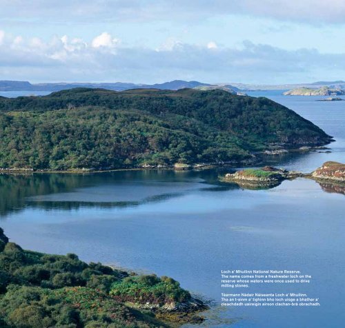 gaelic in the landscape