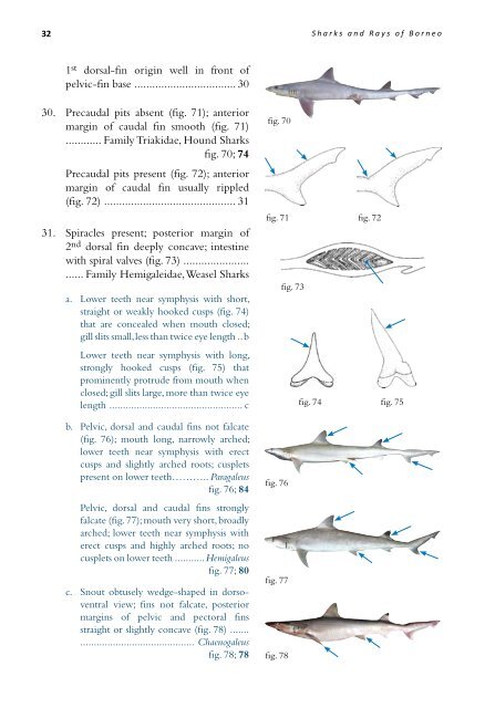 Whaler Sharks - seafdec.org.my