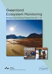 Greenland Ecosystem Monitoring Strategy and Working Programme ...