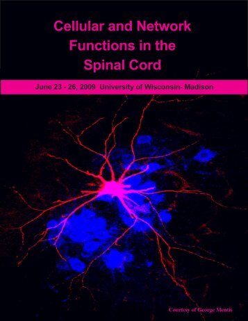 Cellular and Network Functions in the Spinal Cord - Pyle Center