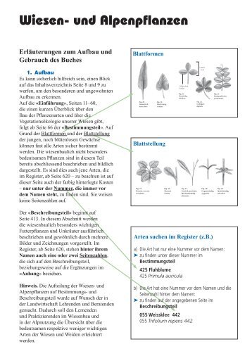 Wiesen- und Alpenpflanzen - alpenpflanzen.ch