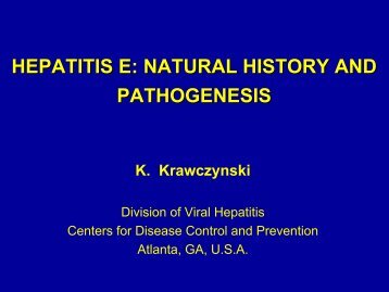 HEPATITIS E: NATURAL HISTORY AND PATHOGENESIS K ...