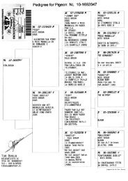 Pedigree for Pigeon: NL 10-1692047 - Hamilton Racing Pigeons