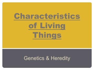 Characteristics of Living Things Lecture.pdf