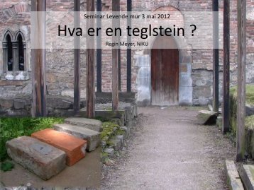 Hva er en teglstein ?