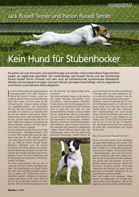 Kein Hund fÃ¼r Stubenhocker - Russell Terrier Club Schweiz