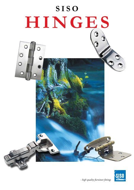 Polished Stainless Steel 75 x 50 x 2.0mm Butt Hinges
