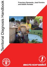 Territorial Diagnosis Handbook - ActionAid