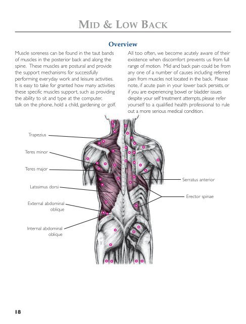 to download a FREE Backnobber User Guide - The Pressure ...