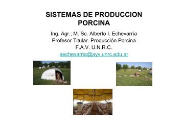 Sistemas de Produccion Porcina Presentacion.pdf