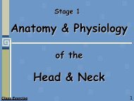 Anatomy & Physiology of the Head & Neck - Randwick College Wiki