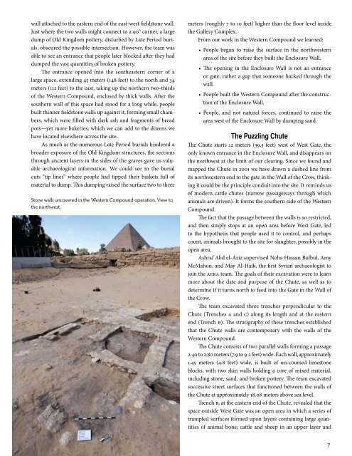 Download a PDF of our 2009 Annual Report - Ancient Egypt ...