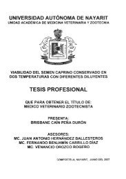 TESIS PROFESIONAL - Catalogo General UAN