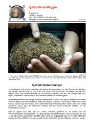 Berichte_files/Igel mit Verbrennungen.pdf