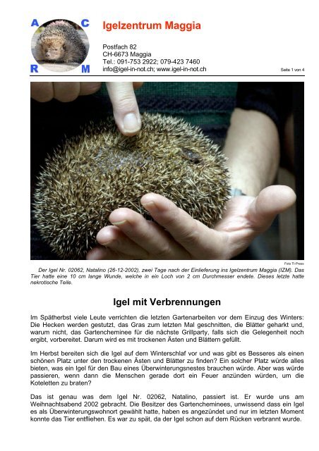 Berichte_files/Igel mit Verbrennungen.pdf