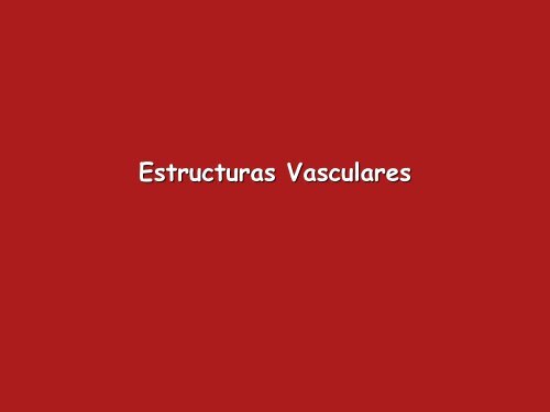 Estructuras Vasculares