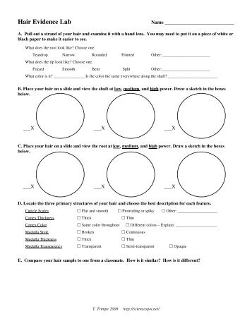 Hair Evidence Lab