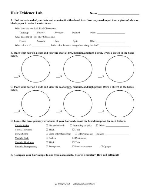 Hair Evidence Lab