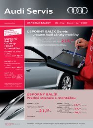 Audi Servis