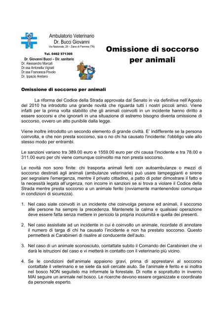 Omissione di soccorso per animali - Ambulatorio Veterinario Bucci