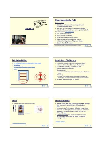 Induktion Das magnetische Feld Feldlinienbilder ... - Walko.de
