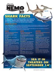 Finding Nemo Shark Facts