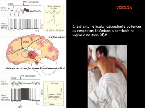 Movimento e Descanso (PDF, 1700Kb)