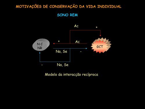 Movimento e Descanso (PDF, 1700Kb)