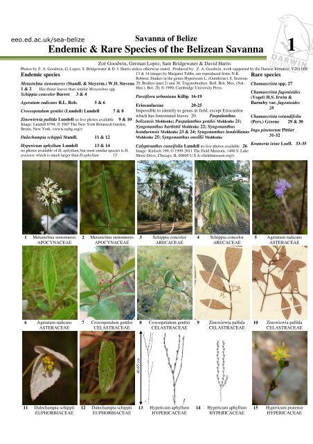 Endemic Species Guide