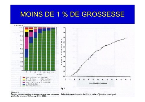 AZOOSPERMIE ET CHIRURGIE VASECTOMIE ECU 2012 - Toulandro