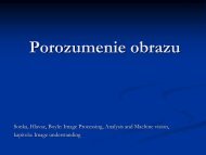 Porozumenie obrazu