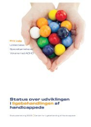 Beretning i pdf-format - Center for Ligebehandling af Handicappede