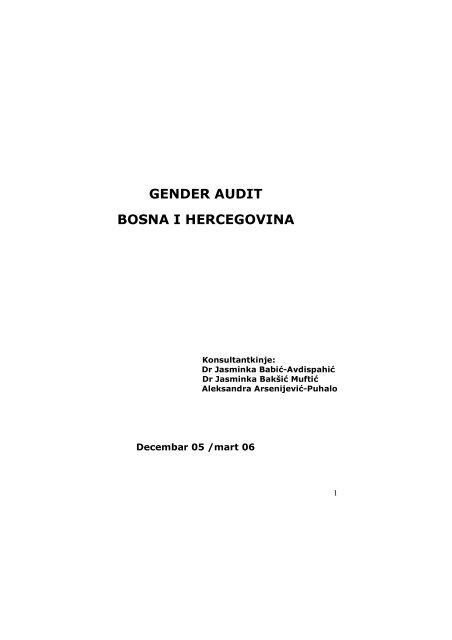 Gender Audit BiH
