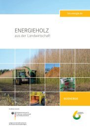 Energieholz aus der Landwirtschaft - Mediathek - FNR