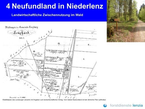 Willkommen im Waldgebiet LÃ¤nzert - Niederlenz