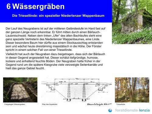 Willkommen im Waldgebiet LÃ¤nzert - Niederlenz