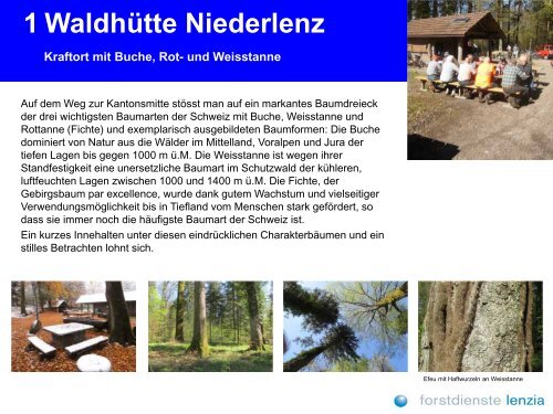 Willkommen im Waldgebiet LÃ¤nzert - Niederlenz