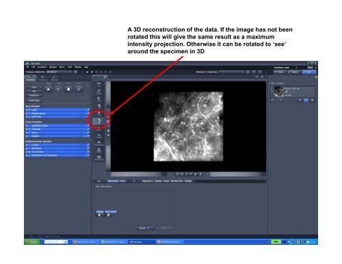 Image processing using ZEN software