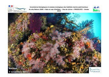 PrÃ©sentation des rÃ©sultats de l'inventaire Ã©cologique marin