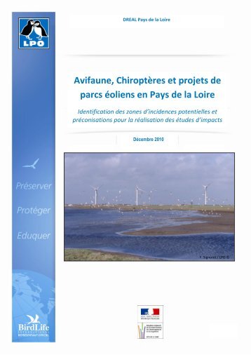 Avifaune, ChiroptÃ¨res et projets de parcs Ã©oliens en ... - LPO Sarthe