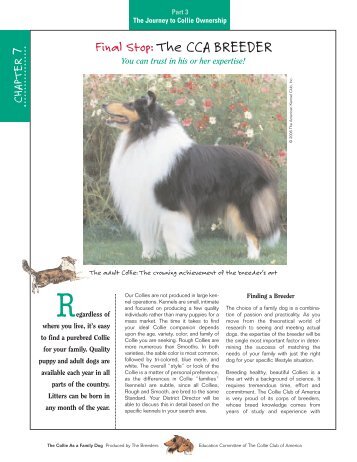 Breeder - Collie Club of America