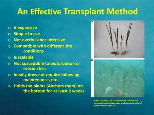 The Tortilla Method: - Restore America's Estuaries