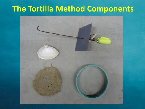 The Tortilla Method: - Restore America's Estuaries
