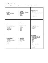 Animal Phyla Lab Chart