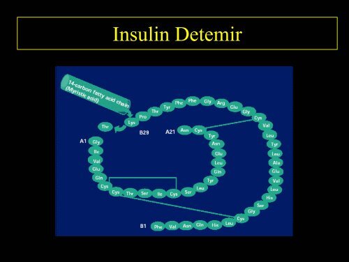 Diabetestherapie